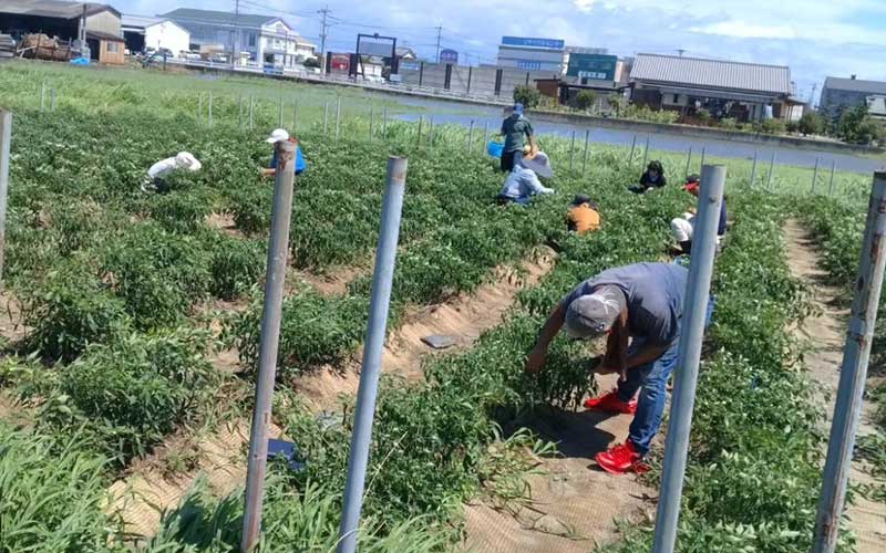 畑にて支援事業活動を行いました！