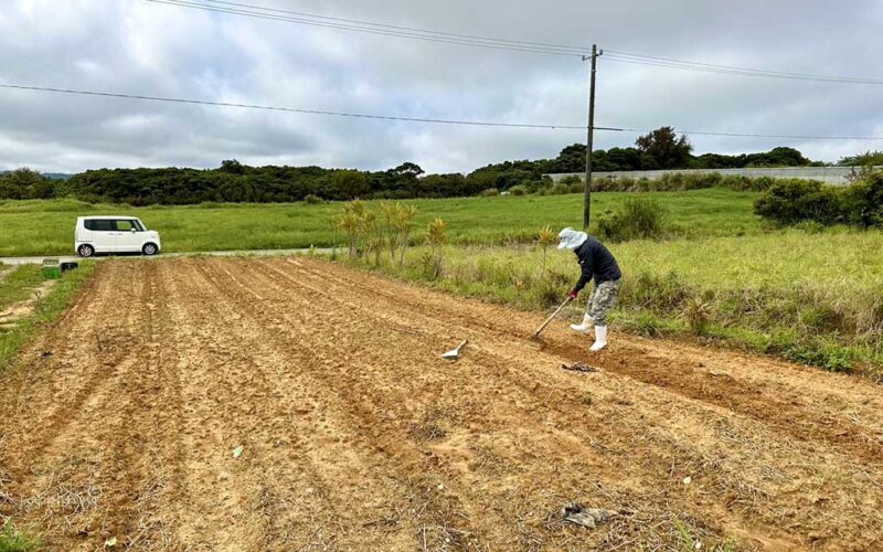NPO法人ひとびとの沖縄の専用畑ができました